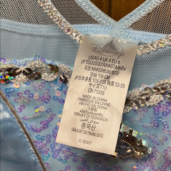 Cinderella Disney Costume - Picture 4 of 5